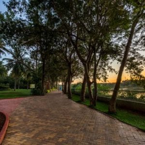 JNI Walking Tracks