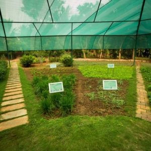 Herbal Garden