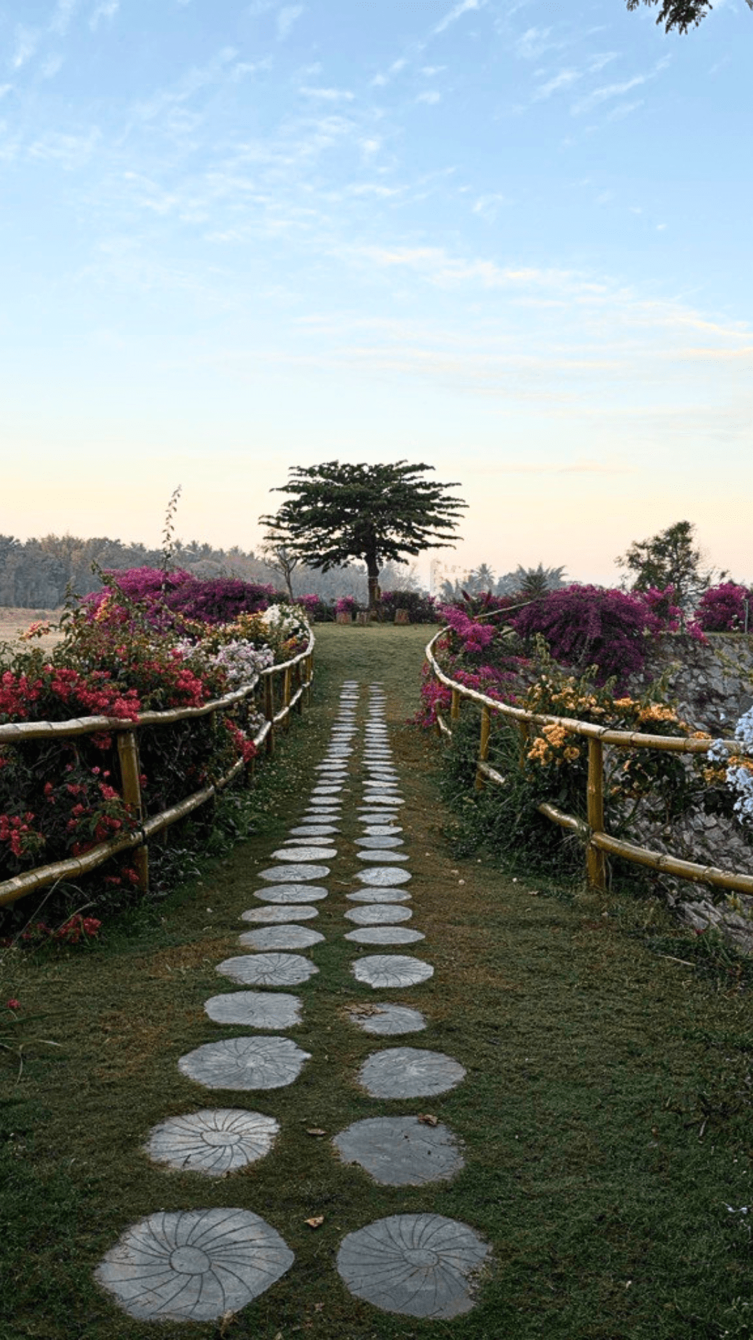 Campus walkway