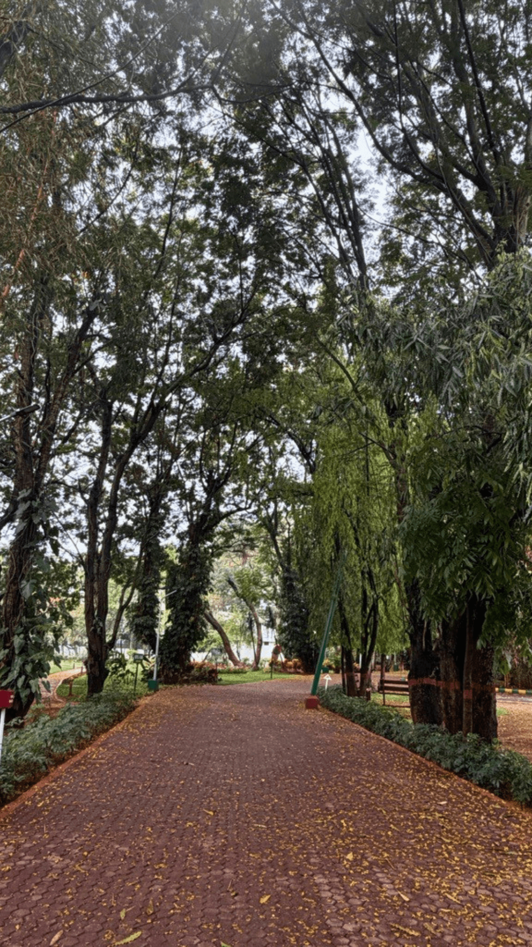 Lush campus garden